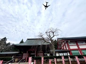 芝山仁王尊と航空機 ※筆者撮影