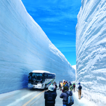 目に鮮やか心穏やか富山立山黒部
