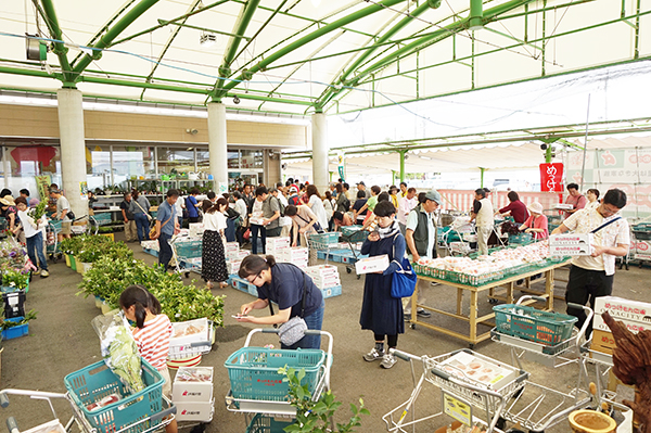 ＪＡ紀の里めっけもん広場