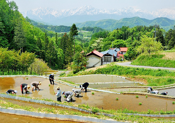 長野県小川村