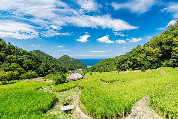 静岡県松崎町・石部の棚田