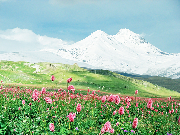 中国雲南省の高山