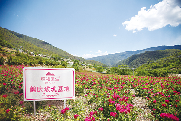 植物園