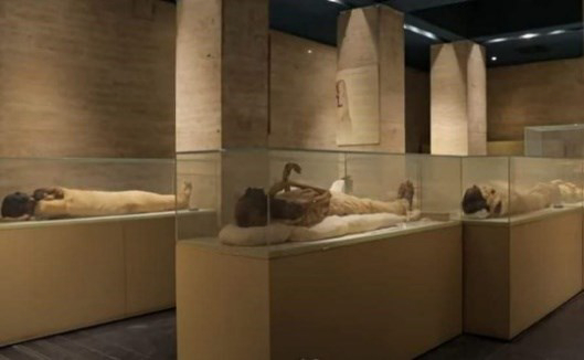 エジプト文明博物館