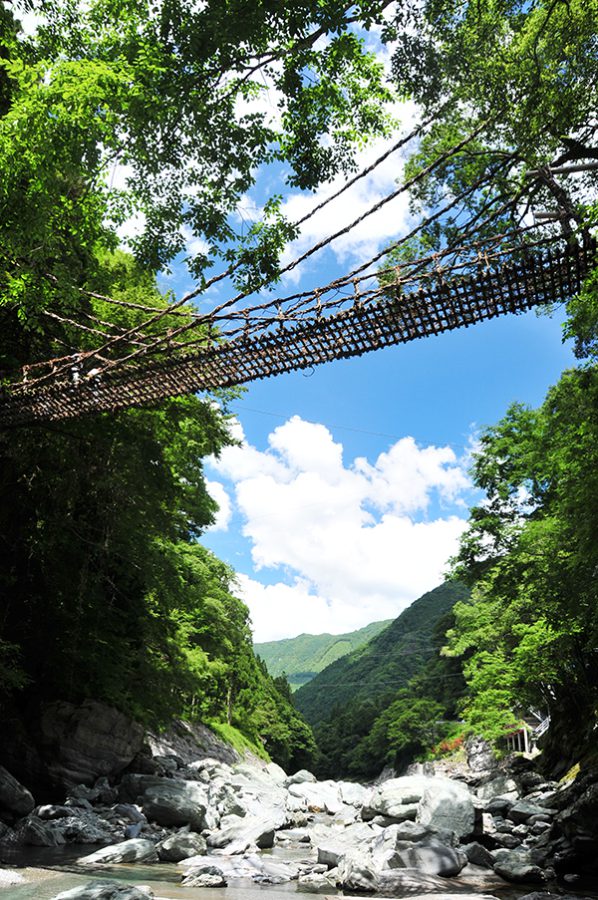 三好市のかずら橋