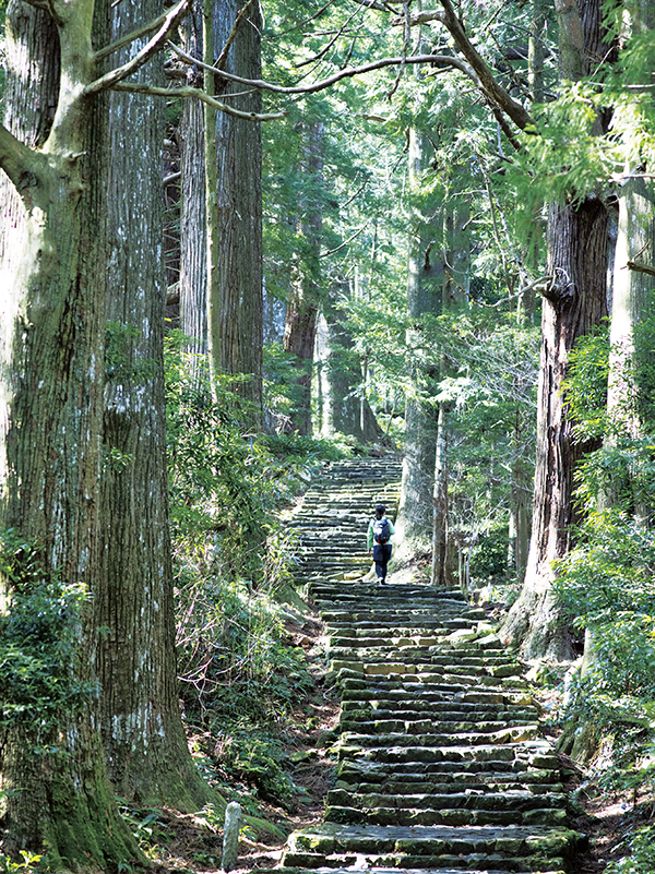 和歌山県・熊野古道の大門坂