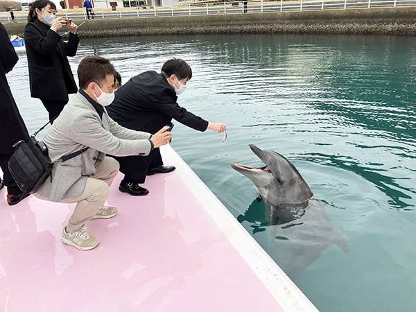 壱岐モニターツアー