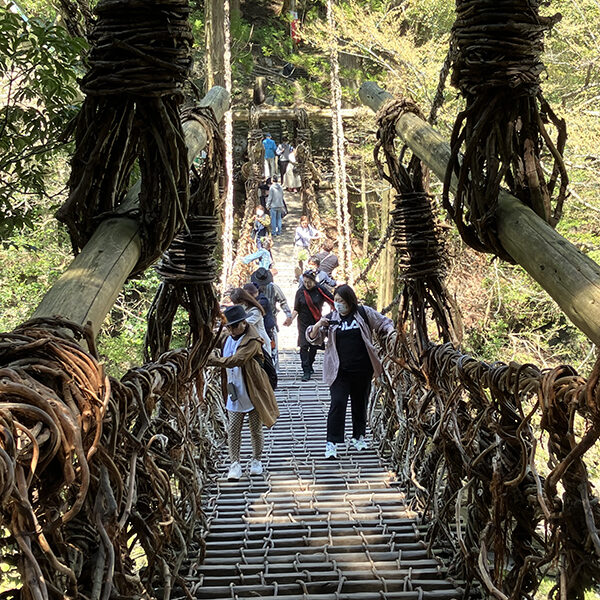 祖谷のかずら橋
