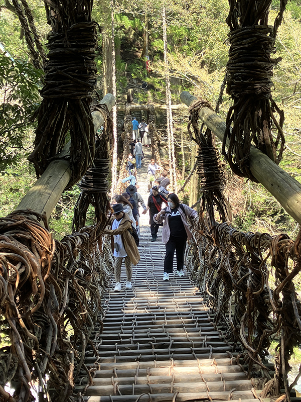 祖谷のかずら橋