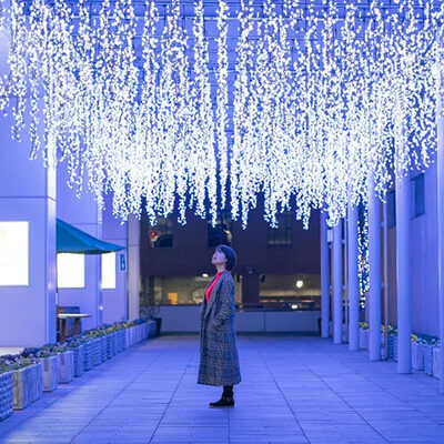 あきた光のファンタジー