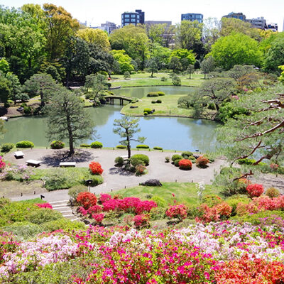 春の六義園
