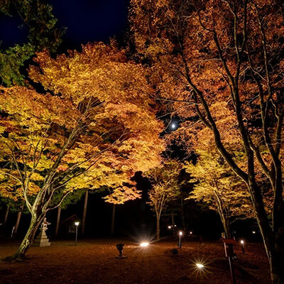 中尾高原