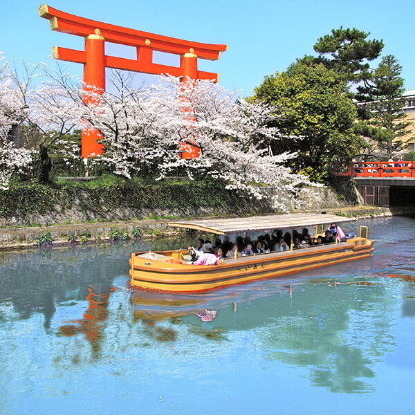 岡崎さくら回廊十石舟めぐり