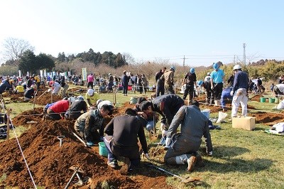 ゆめ 牧場 成田