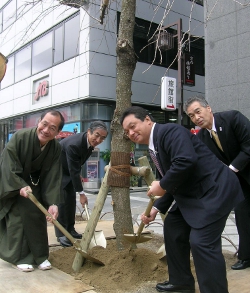 JTB京都植樹